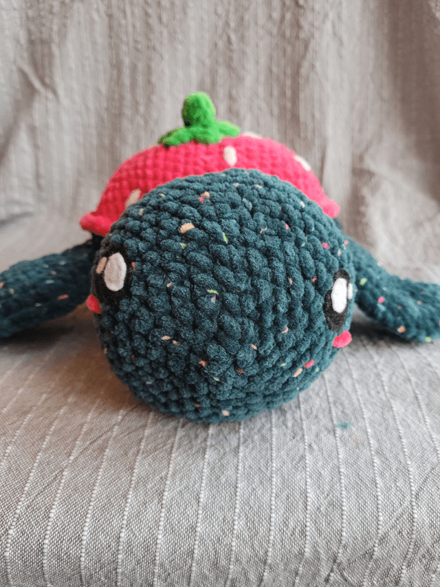 Framboise, la tortue fraise