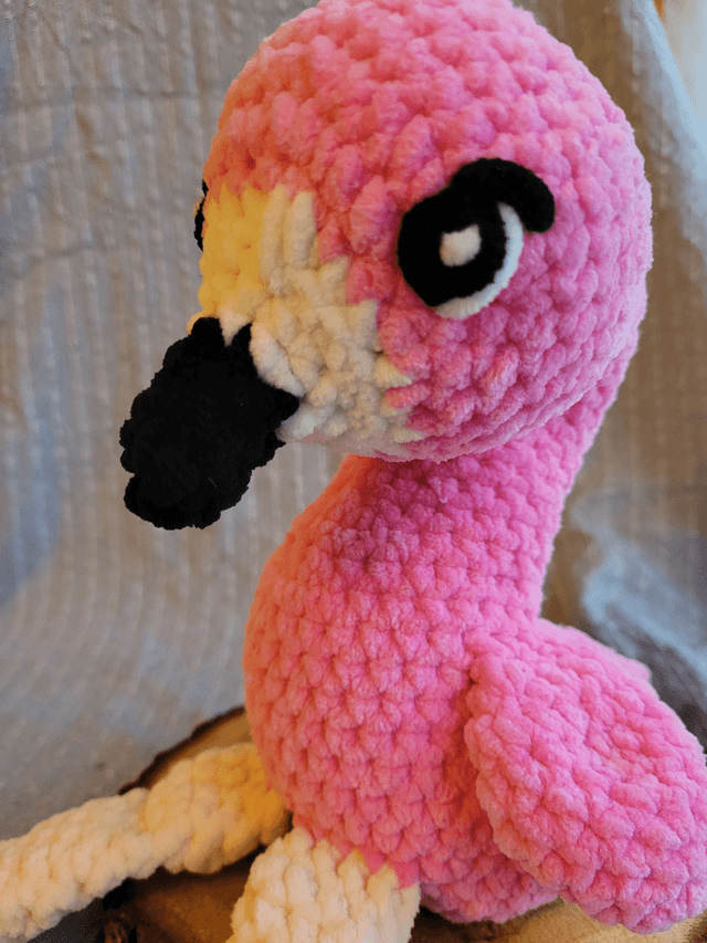 Rosy, le flamant rose