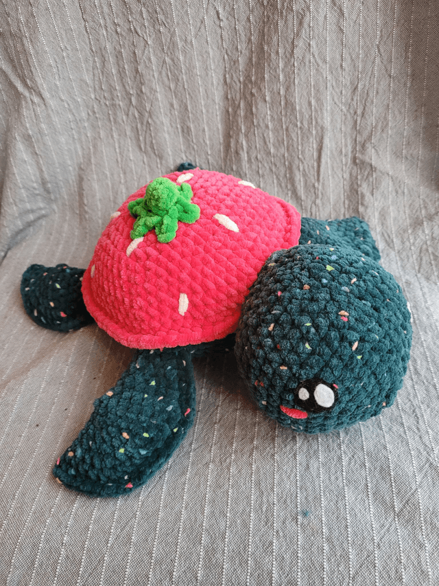 Framboise, la tortue fraise