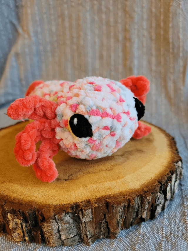 Axel l&#039;oxolotl
